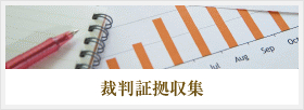 裁判証拠収集